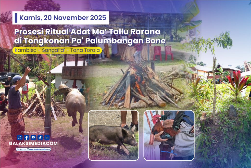 Prosesi Ritual Adat Ma’ Tallu Rarana di Tongkonan Pa' Palumbangan Bone